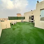 Modern Roof Top Greenery Terrace